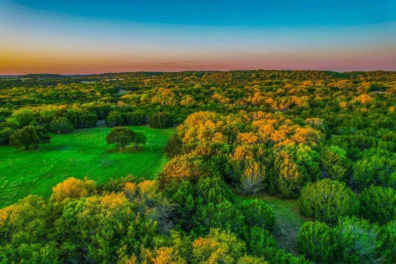 Bosque 294 Listing Photos-10