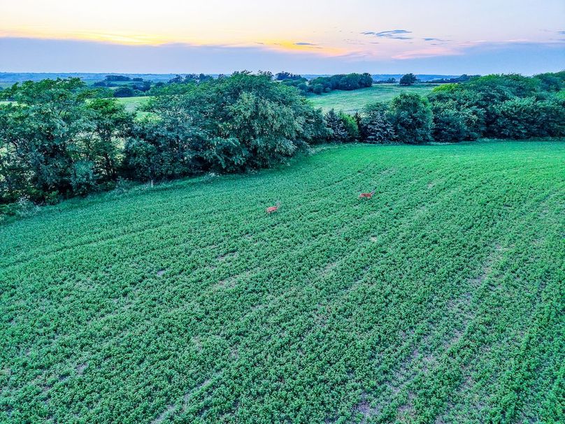 DJI_20250723203347_0453_D