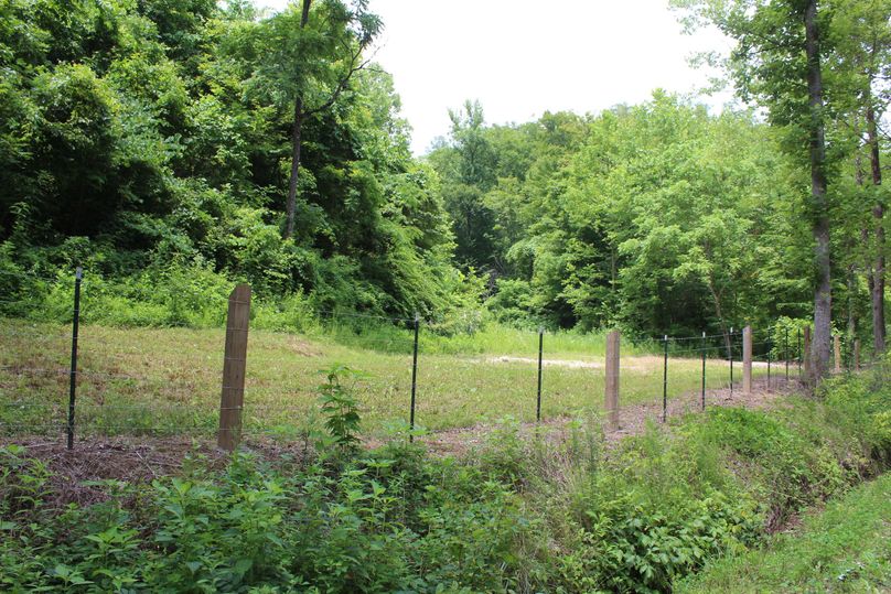 026 the small field RV area along Zeke Br Road on the east boundary