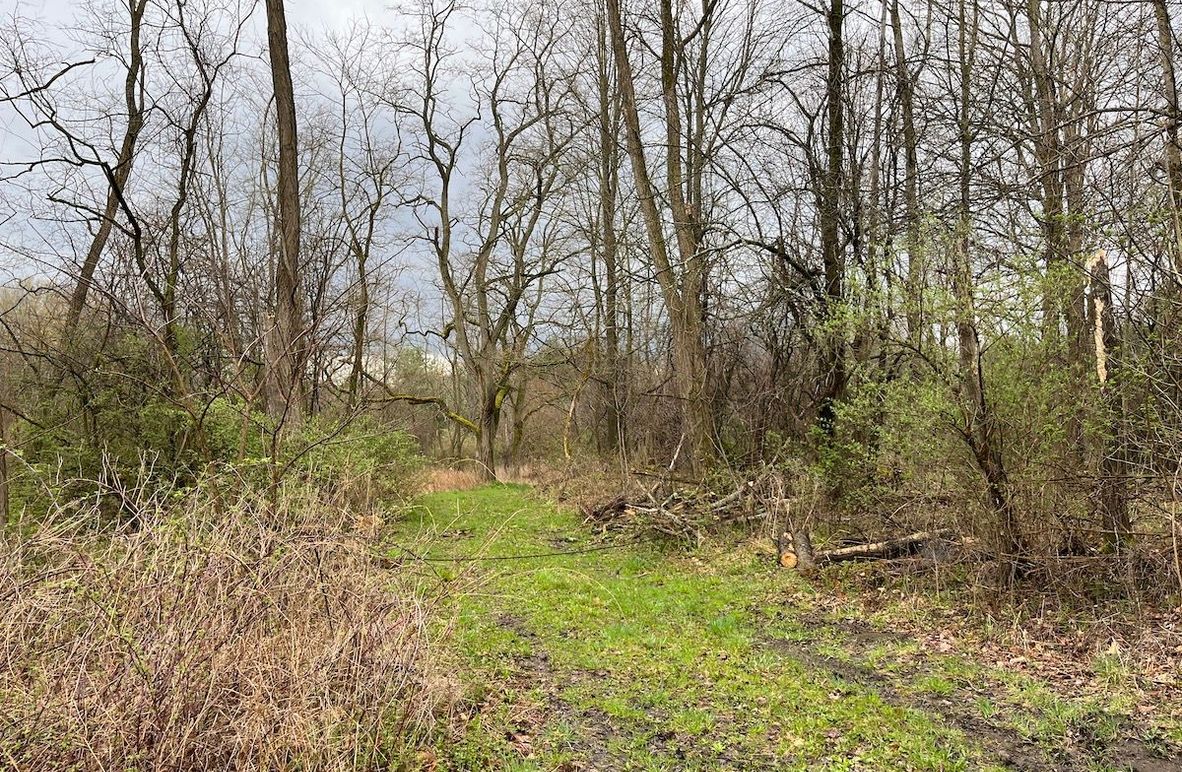 Schuyler_65.57_Grohoski Photo 4