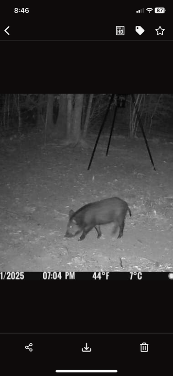 New Trail Cam 10