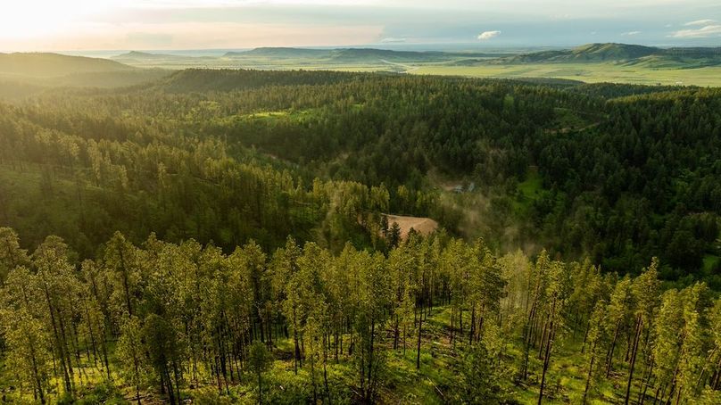 Lawrence SD 50 Featured_ProPhoto-54