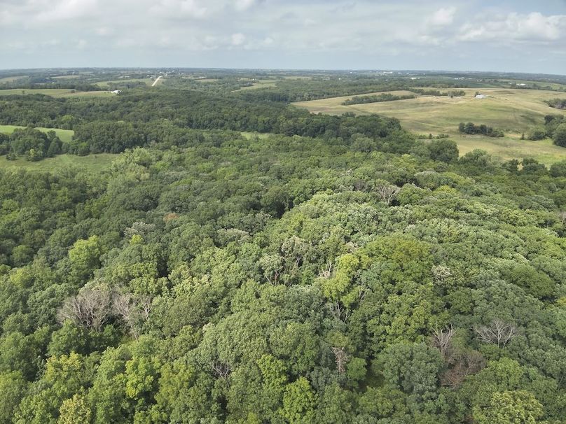 DJI_20240815153247_0003_V