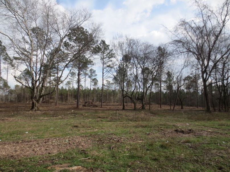 CEDC40D7-9B7B-4F33-9317-BB9BAE085088_1_105_c