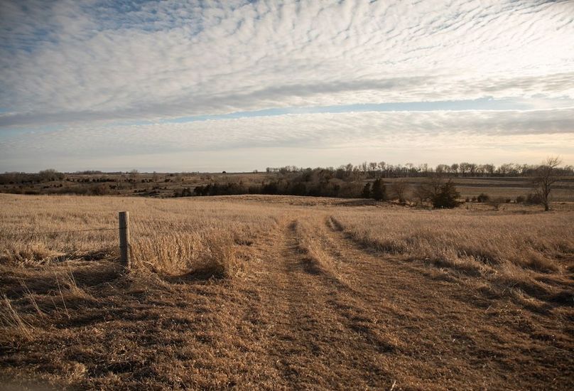 MONTGOMERY CO IA 156.78_64