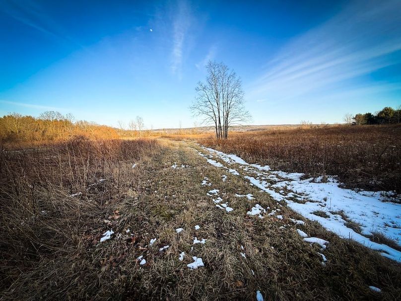 Seneca_24.54_Hohwald_Photos_34