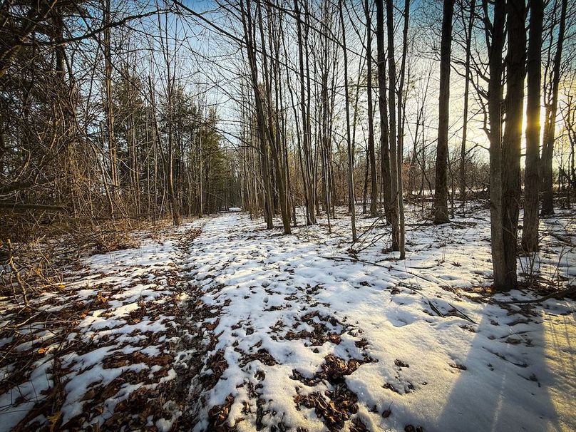 Seneca_43_Hohwald_Photos_39