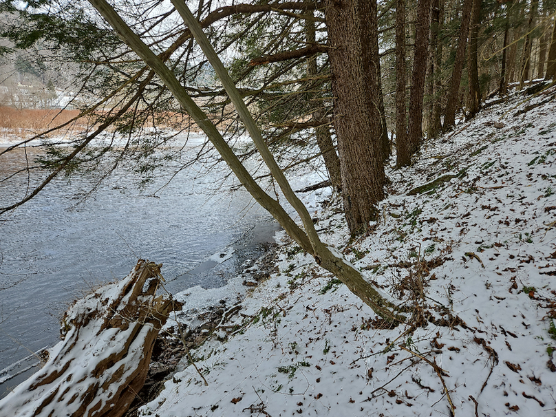 photo_b66107e7-54d5-4085-875c-d91ccf32fda5