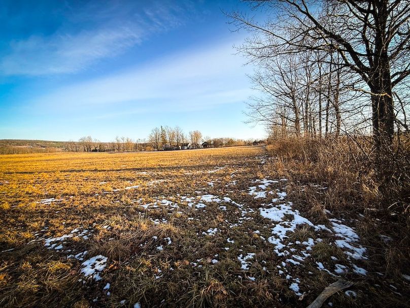 Seneca_24.54_Hohwald_Photos_6