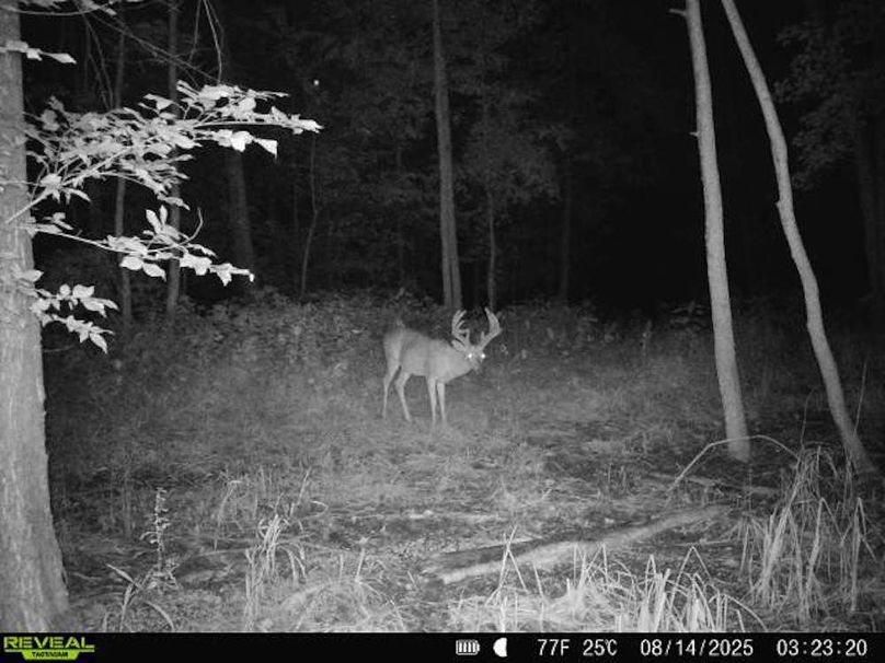 860516068101389-90-3-08142025032320-V-W1000149