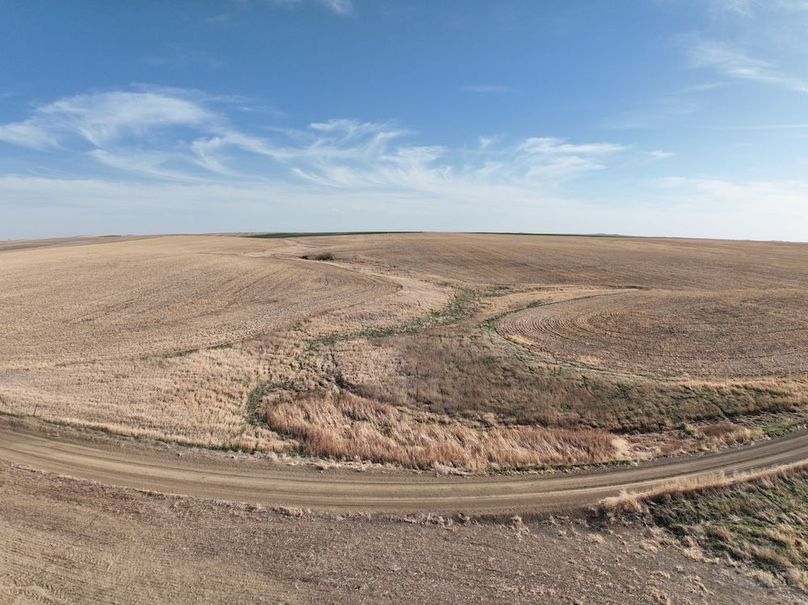 DJI_0388
