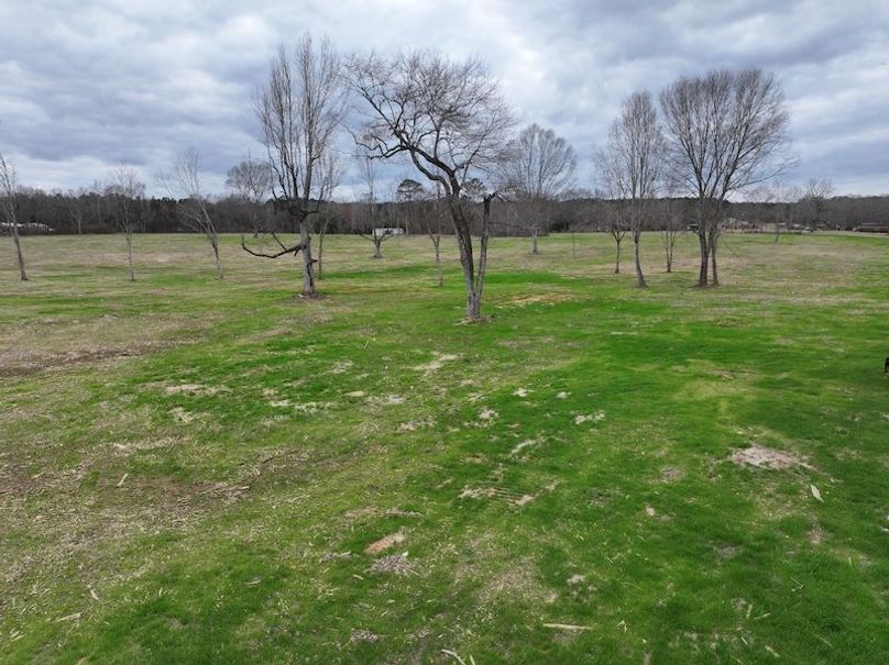 Copy of dji_fly_20260217_143806_0152_1771436904934_photo