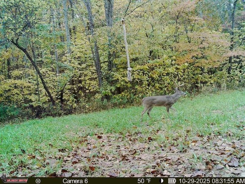 6ACE229D-A191-477B-8813-07250D56A1BC