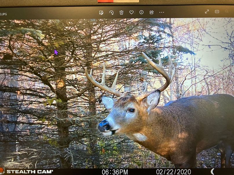 71008669513__2E481F4C-FE61-43A0-B6A5-F1E8300C8CE3