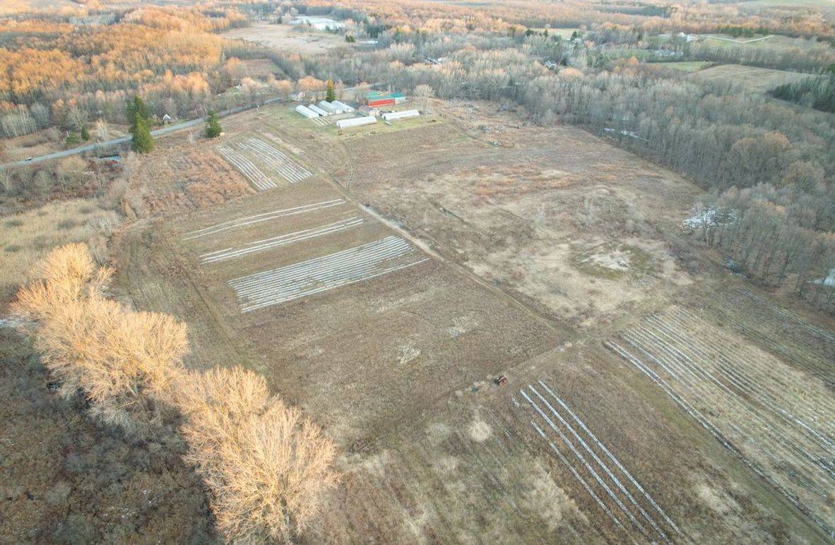 Cayuga_46.01_Avery_Photos_2