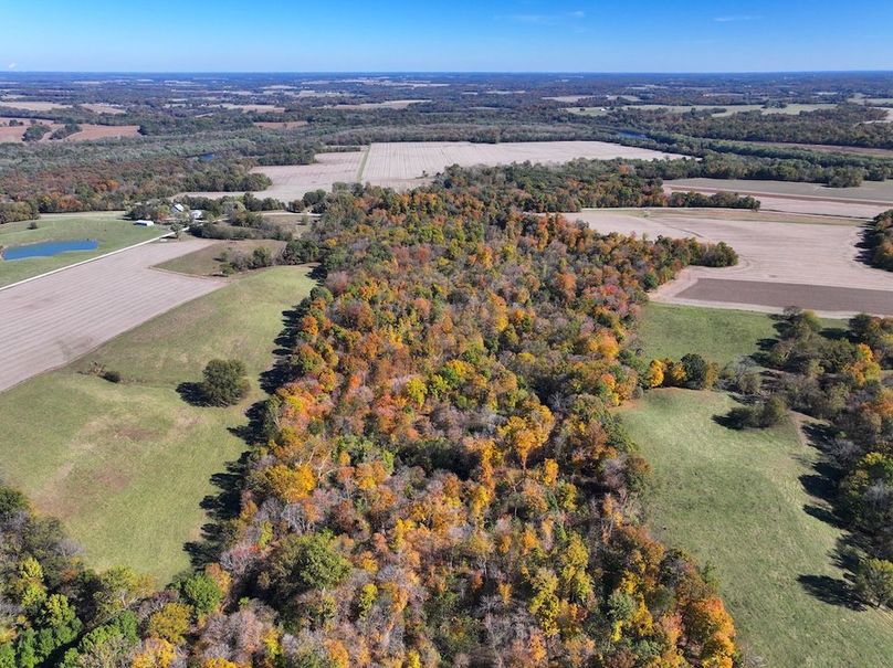 Copy of DJI_20251031130649_0777_D