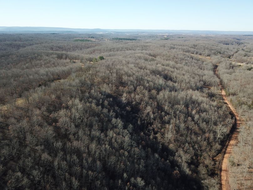 DJI_0109