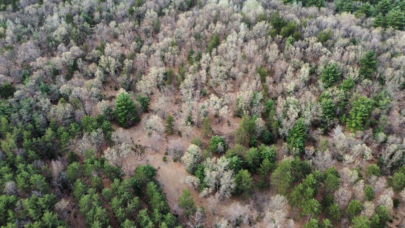 dji_fly_20230509_171826_410_1683724283461_photo_optimized