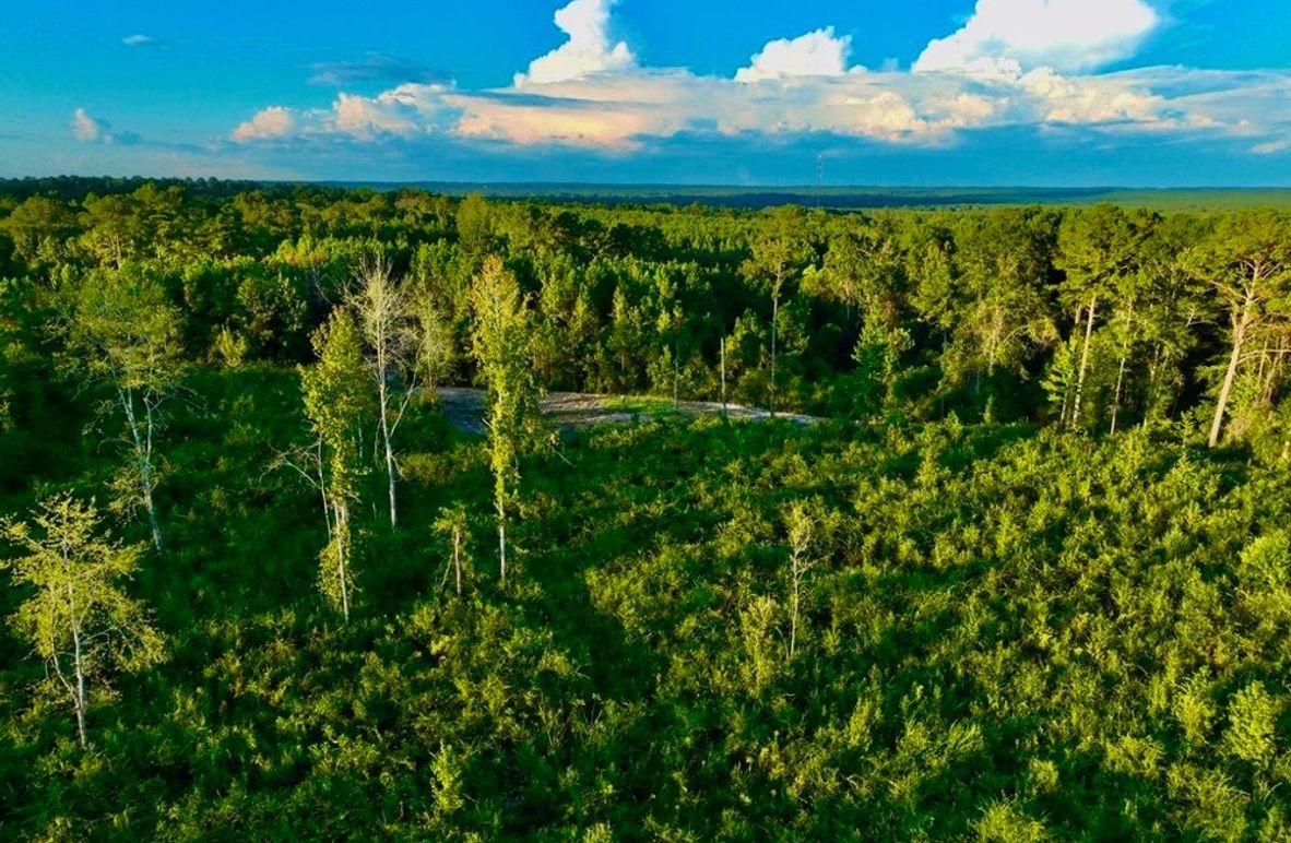 9DFC747E-31AB-4F12-B1E9-3F842C12A186_1_105_c-2