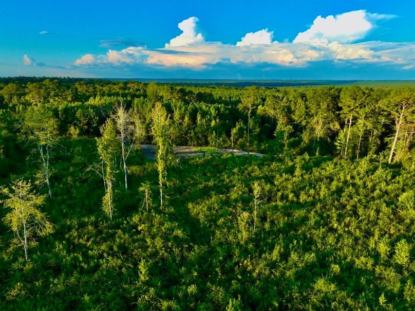 9DFC747E-31AB-4F12-B1E9-3F842C12A186_1_105_c-2