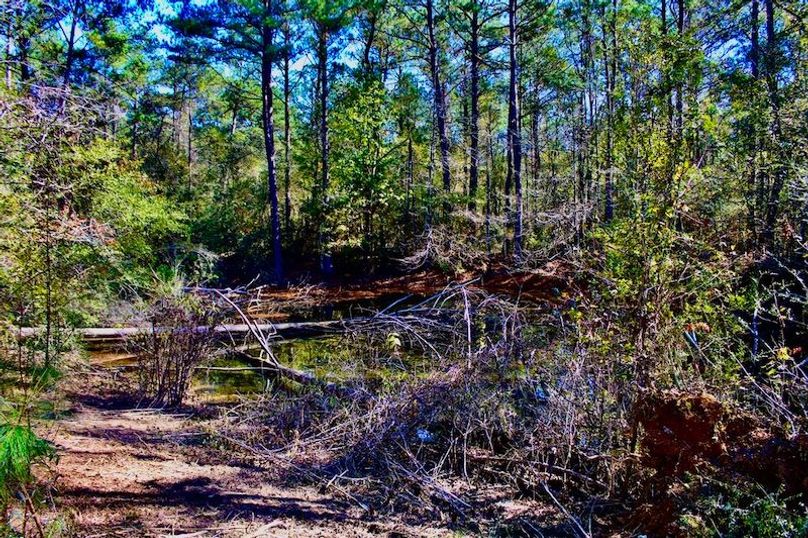 211DAFD4-75A3-4408-9C14-3DBE07082E52_1_105_c