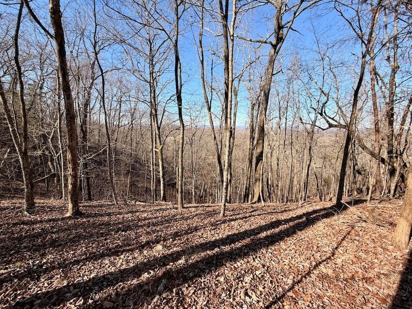 Roane Co TN 396 20251127_40