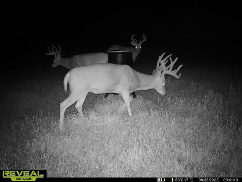 865509050128614-50-4-08282025004123-W1020710