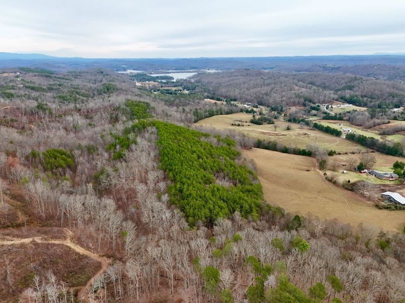 Roane Co TN 396 20251127_70