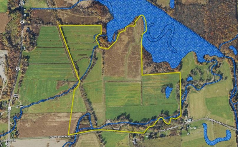 Land ID Wetlands