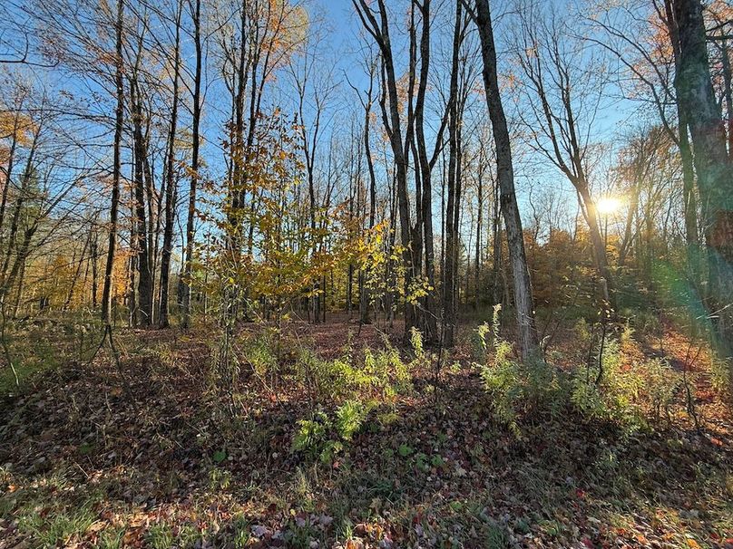 Oswego_26.28_Koehler Photo 38