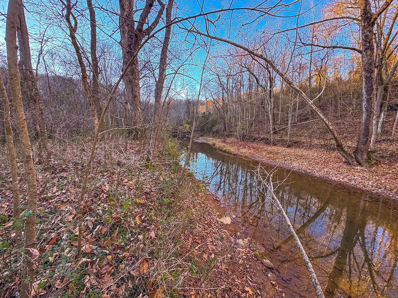 Pleasants_Wood 169.97 AC Cokeley-27