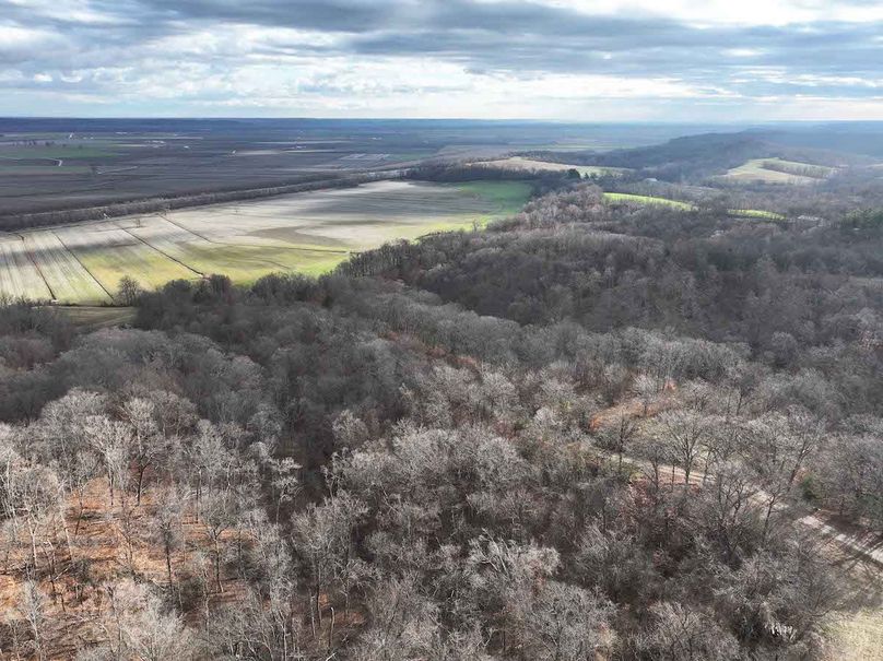 DJI_20251126165201_0342_D