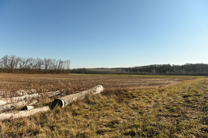 vandalia 450 (2)-677