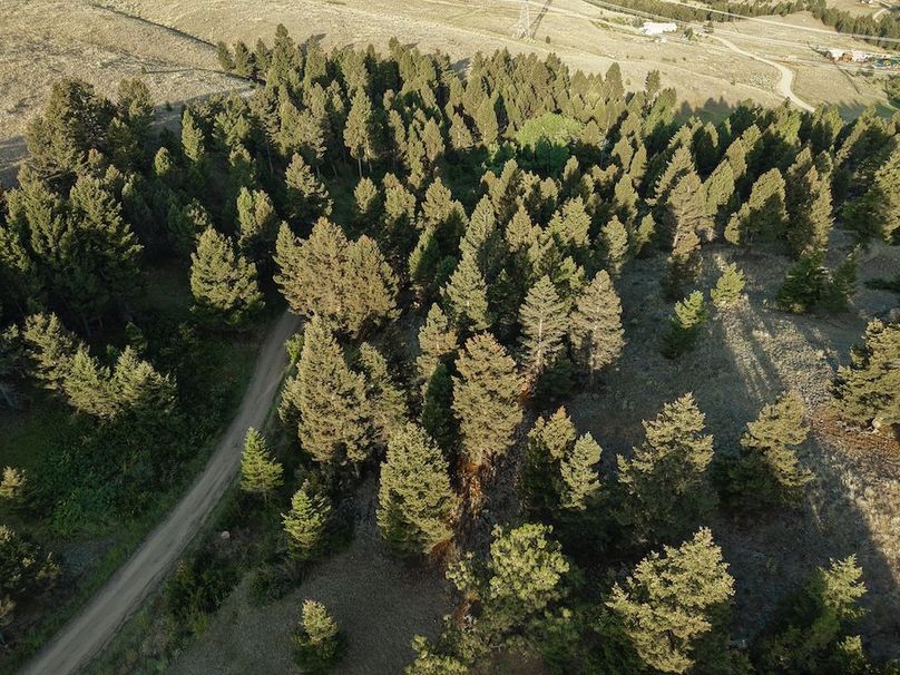 20250822080730_0477_D