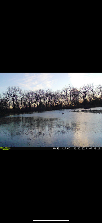 B8E24B03-E66D-41E8-9CDC-6D1C1BC38B6A