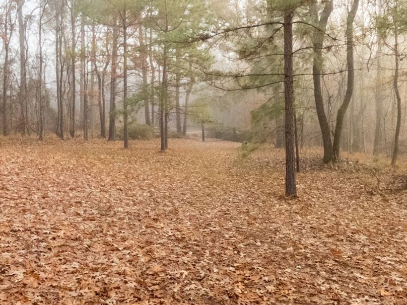 Claiborne Co - 274 - Marian-106