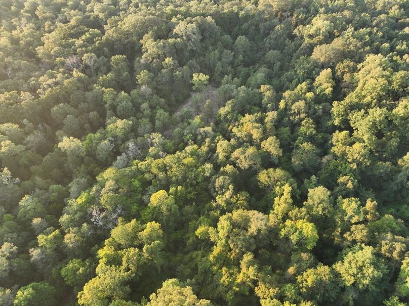 dji_fly_20250909_072600_191_1757426912446_photo