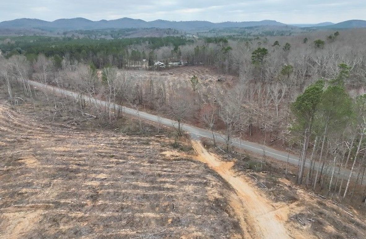 DJI_20260303123802_0004_V