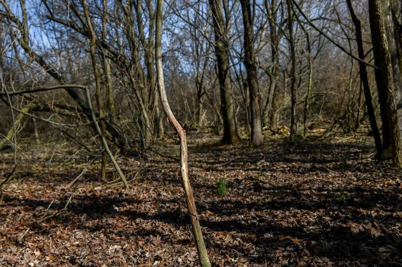 vandalia 450 (2)-1671