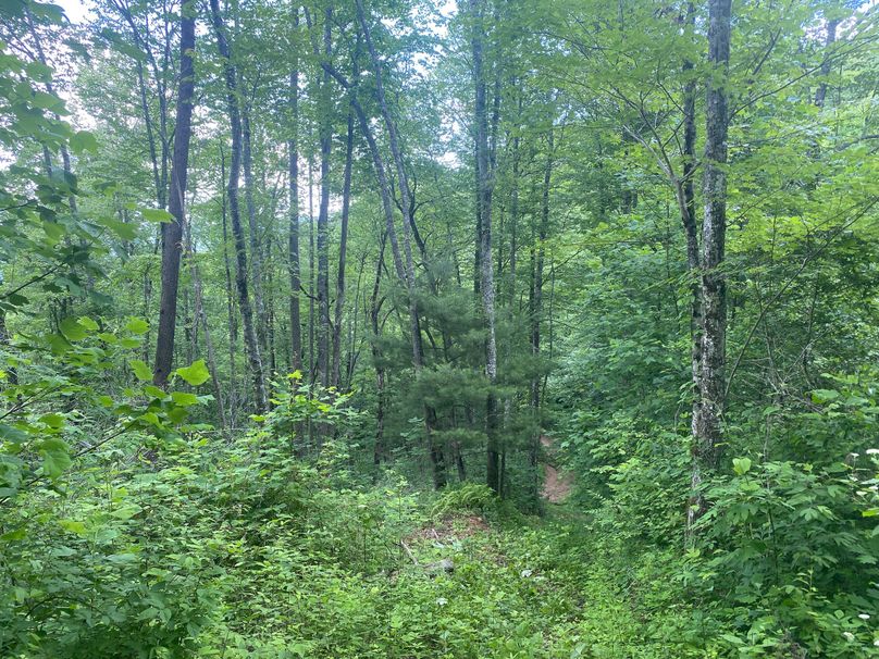 Swain 39 Tysinger-23