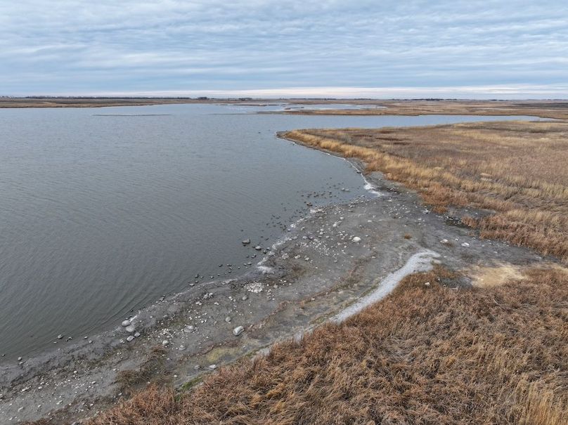 DJI_20241118113014_0315_D