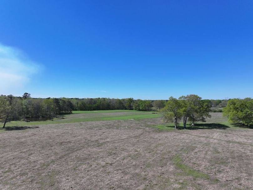 dji_fly_20260317_094518_0420_1773768869952_photo