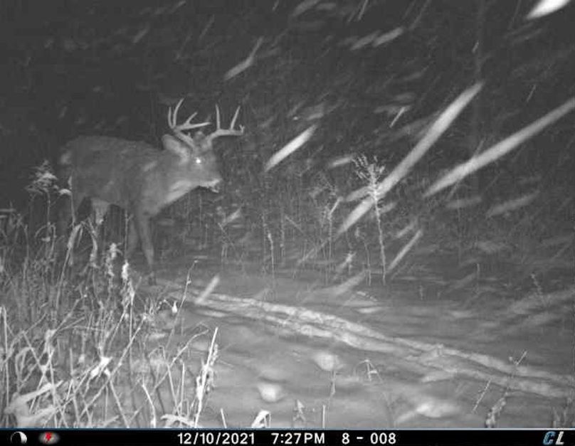 December 2021 (Oak Road)