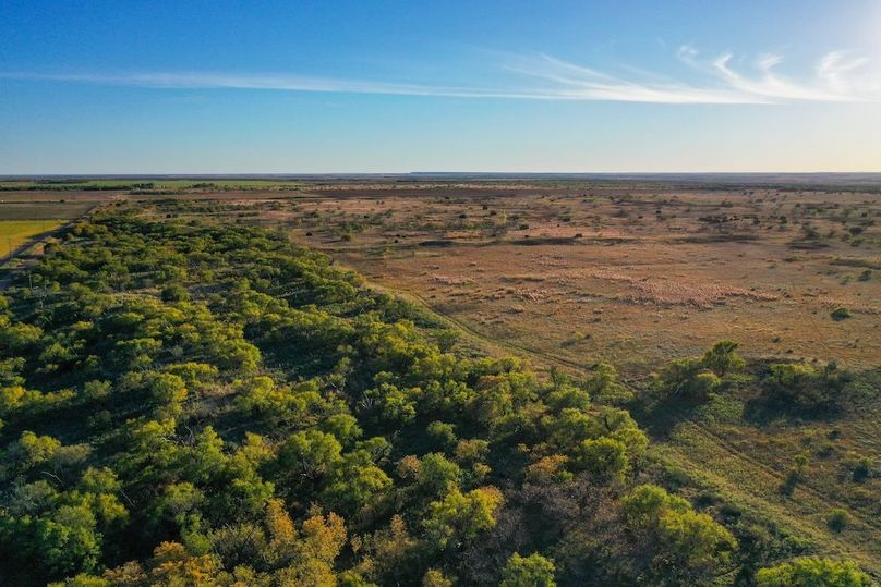 org_1277a7199e79b9b0_1762732152000