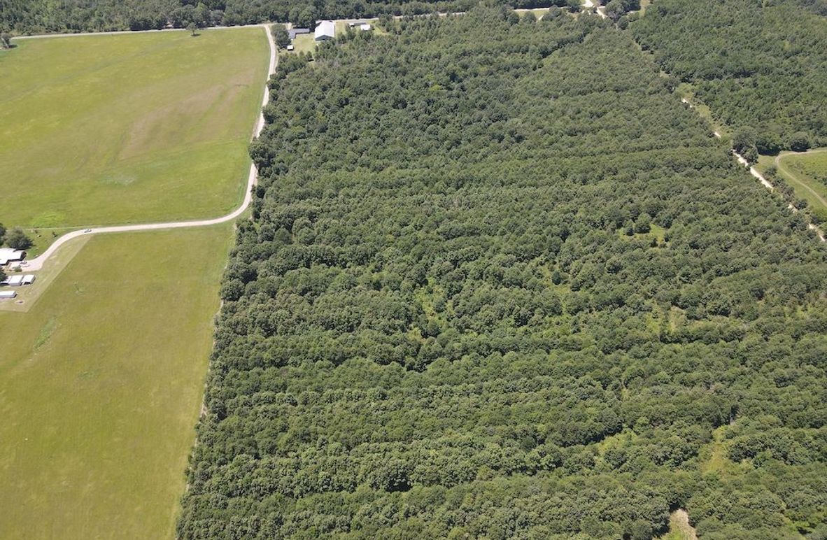 dji_fly_20240730_133702_227_1722364715315_photo