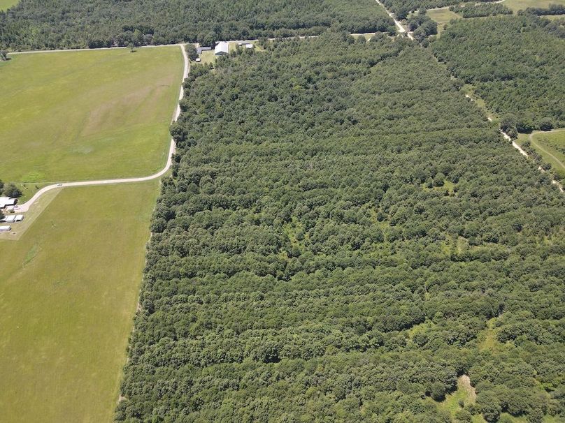 dji_fly_20240730_133702_227_1722364715315_photo