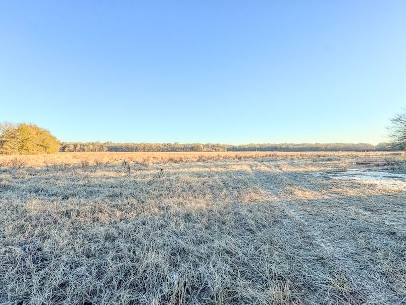 St. Francis 216.9 Calvin Parker Farms Profile -07