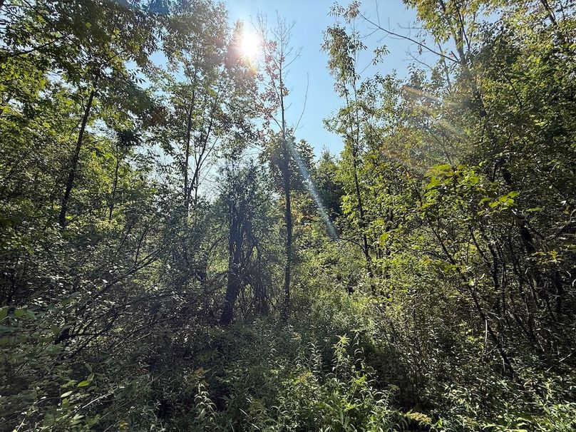 Chemung_20.82_Meyers Photo 18