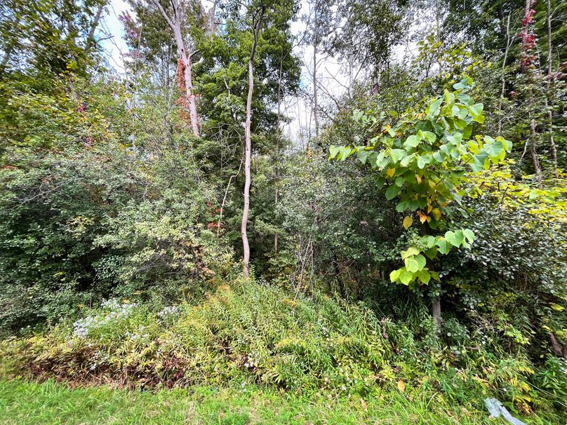 Ontario_16.2_Eddington Photo 31