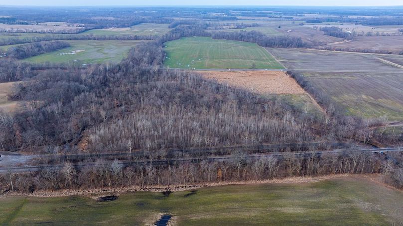 DJI_20260218074502_0002_D